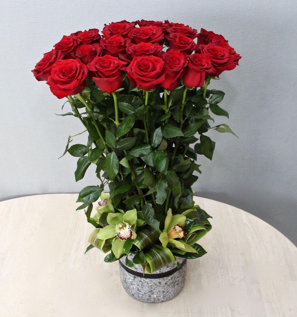 Flowers Red Green One Logo - Two Dozen Red Roses And Orchids West Hollywood Flowers By West