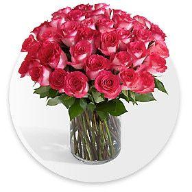 Flowers Red Green One Logo - Flowers | Online Flower Delivery | Send Flowers | ProFlowers