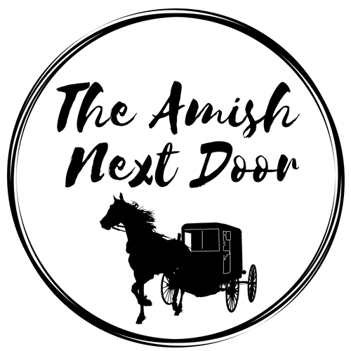 Amish Logo - The Amish Next Door - First-hand momma accounts from Amish Country