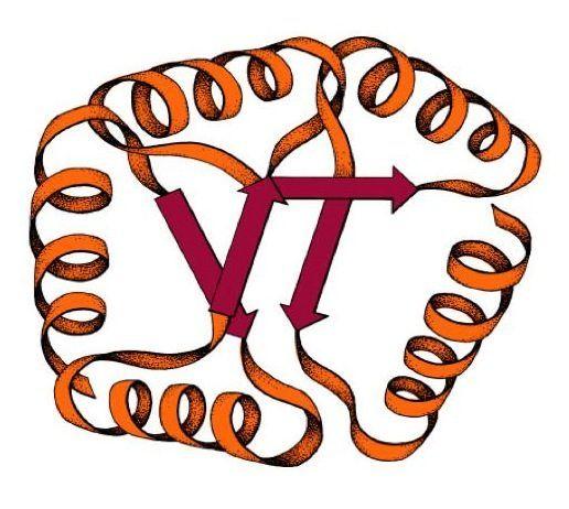 Biochemistry Logo - Undergraduate | Department of Biochemistry | Virginia Tech