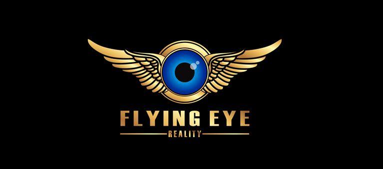 Flying Logo - flyingeye-logo-design – 2Designers