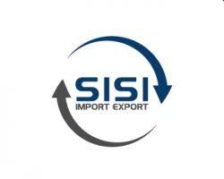 Export Logo - Logo Design Contest for SISI Import Export Company, Inc. | Hatchwise