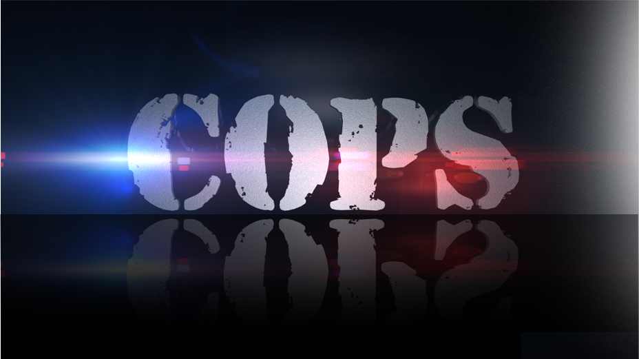 Cops Logo - Cops Logo New Full Size. The Daily Liberator