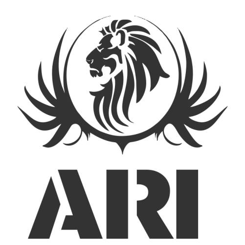 Ari Logo - AE - Logo | Cyber Tech Solution