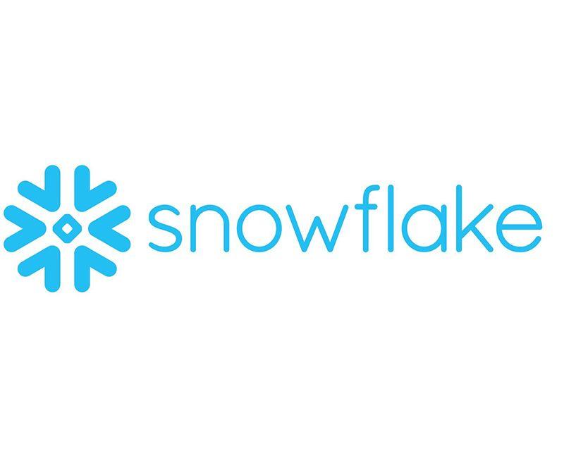 Snowflake Logo - Snowflake Logo Logo