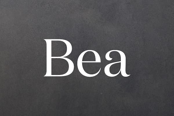 Bea Logo - Bea at Barangaroo House Hunger Project Australia
