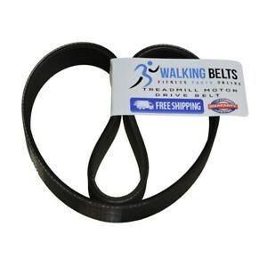 Sportcraft Logo - Details about SportCraft 04032 TX320 Treadmill Motor Drive Belt + Free 1oz Lube