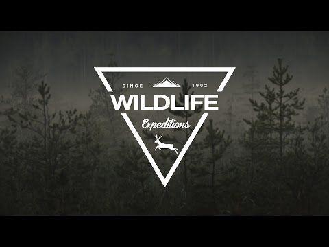 Wildlife Logo - How To Design A Wildlife Triangle Logo In Photoshop - YouTube