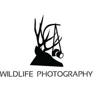 Wildlife Logo - 20 Wildlife Nature Photographer Logos