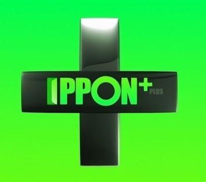 Ippon Logo - Ippon plus.logo.jpeg