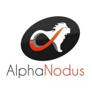 Nodus Logo - Working at Alpha Nodus | Glassdoor.co.in