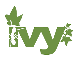 Ivy Logo - Home. Apache Ivy ™