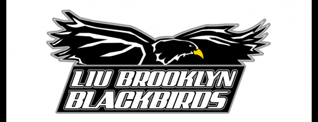 Liu Logo - LIU BROOKLYN - CollegeAD