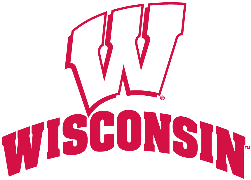 Wisconsion Logo - Wisconsin Badgers Alternate Logo Division I (u Z) (NCAA U Z