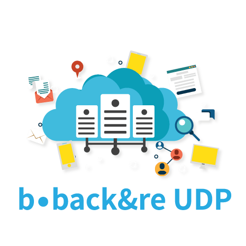 ISSP Logo - Logo B.back&re UDP