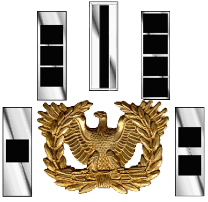 Warrant Logo - Warrant Officer Branch. New York National Guard Officer Accessions