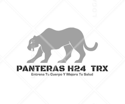 H24 Logo - PANTERAS H24 TRX - Public Logos Gallery - Logaster