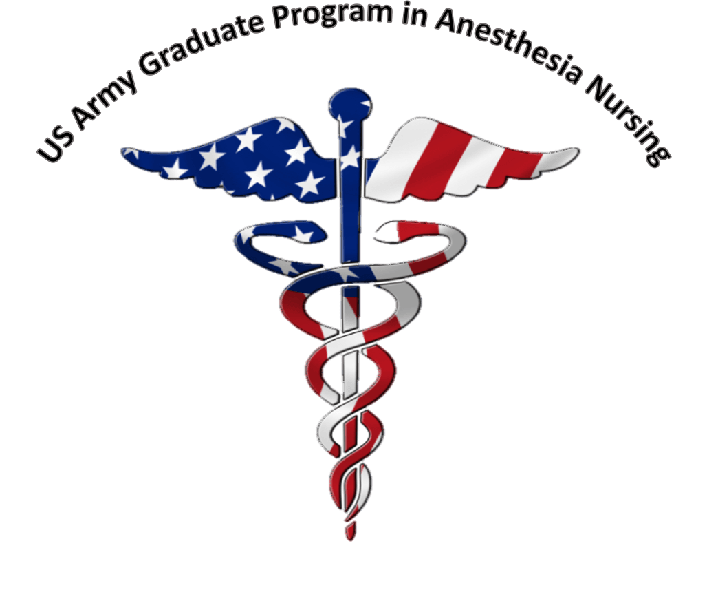 Nurisng Logo - Anesthesia Nursing DNP Program | Baylor University