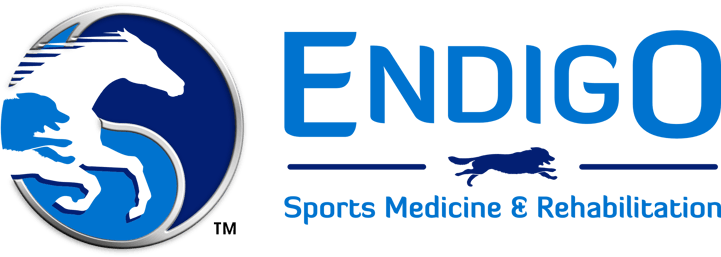 D.V.m. Logo - Endigo Sports Medicine and Rehabilitation Acupuncture Chiropratic