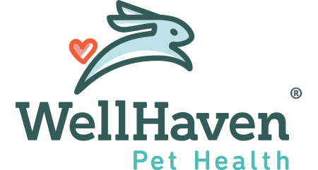 D.V.m. Logo - Maple Grove, MN Veterinarian. WellHaven Pet Health Maple Grove