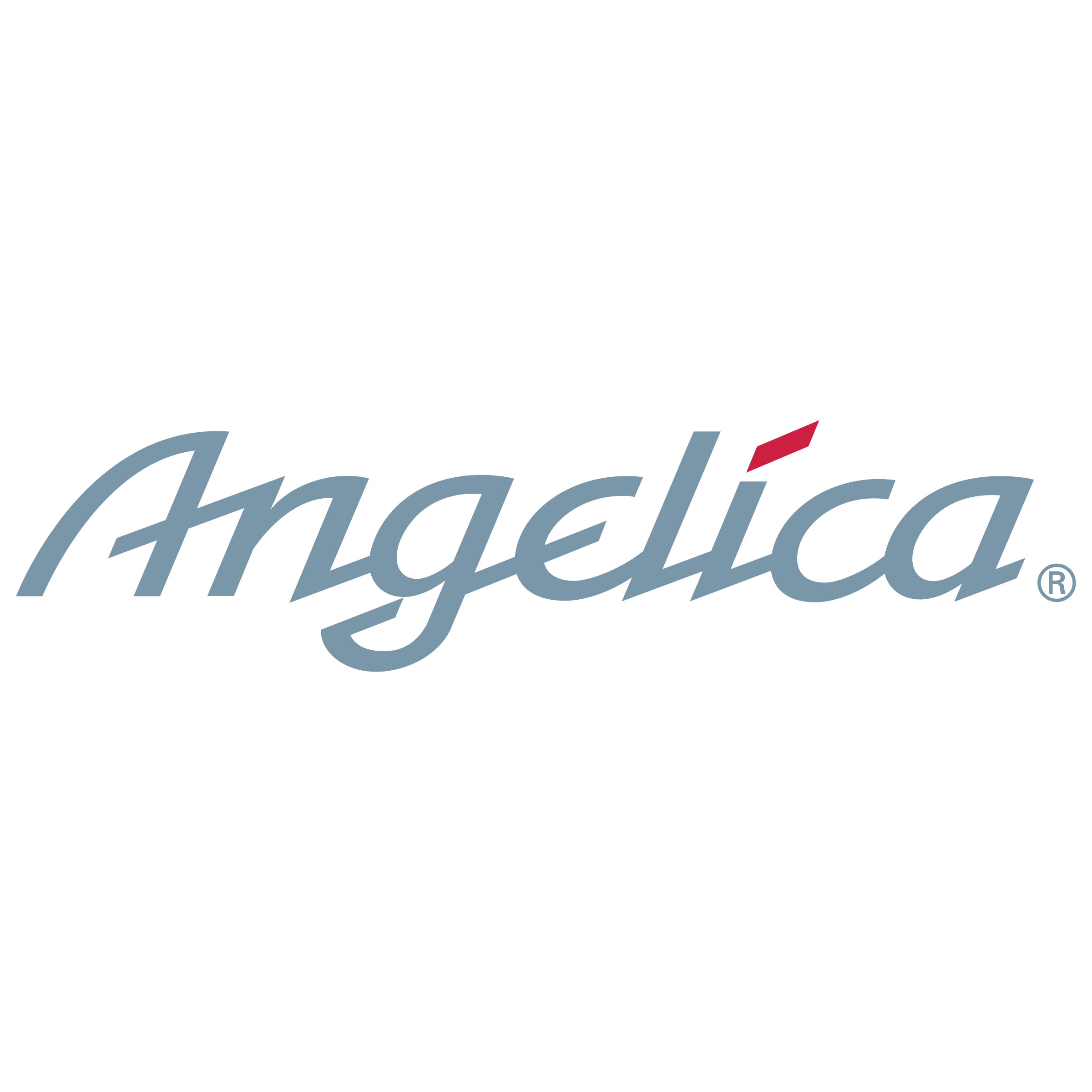 Angelica Logo - Angelica Logo PNG Transparent & SVG Vector