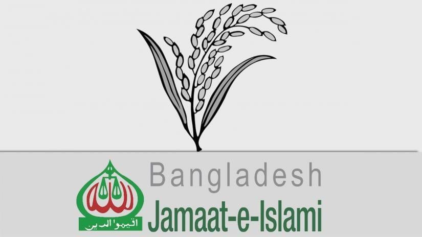 Sheaf Logo - Jamaat picks BNP's 'paddy sheaf' as polls logo