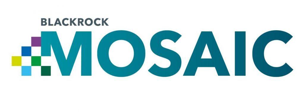 Blackrock Logo - Inclusion & Diversity - Careers | BlackRock
