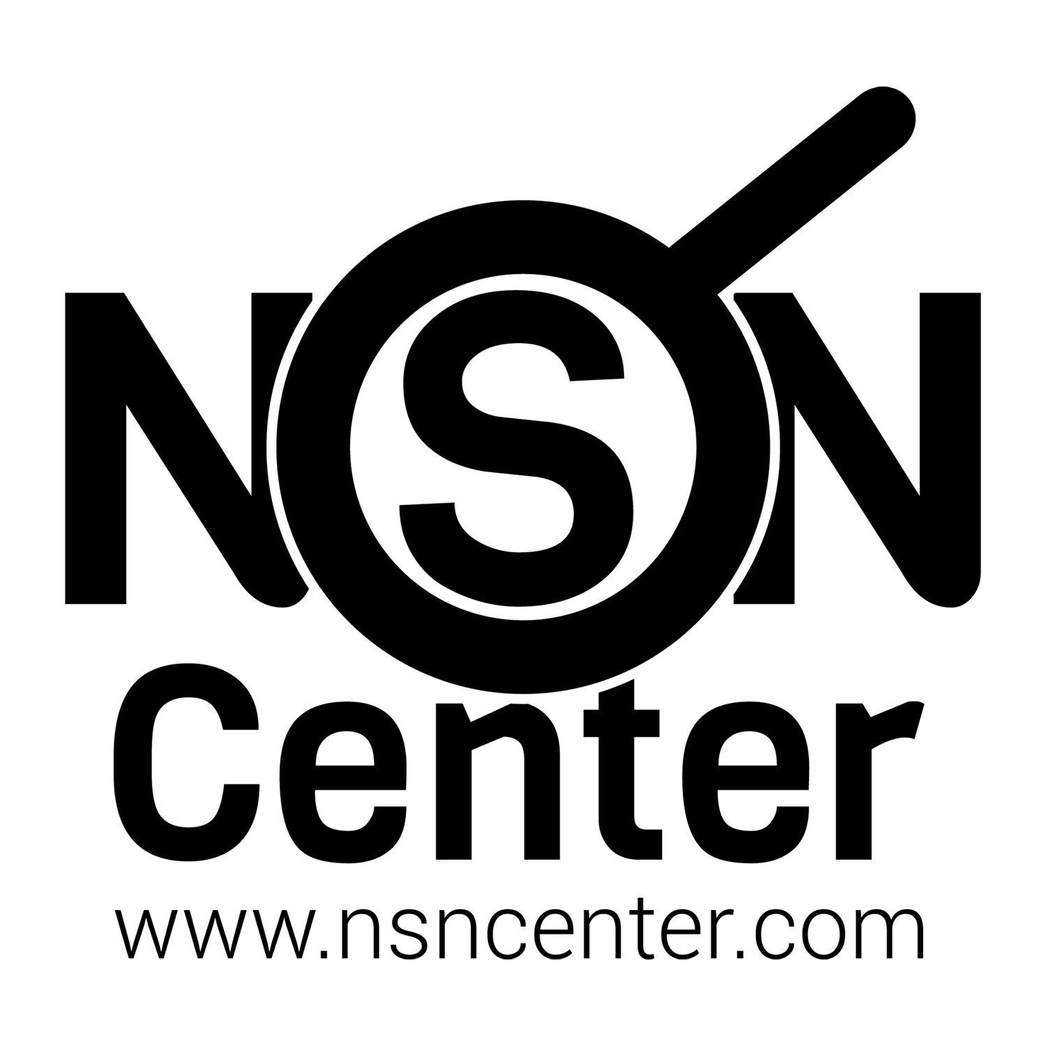 NSN Logo - NSN Center | Logopedia | FANDOM powered by Wikia