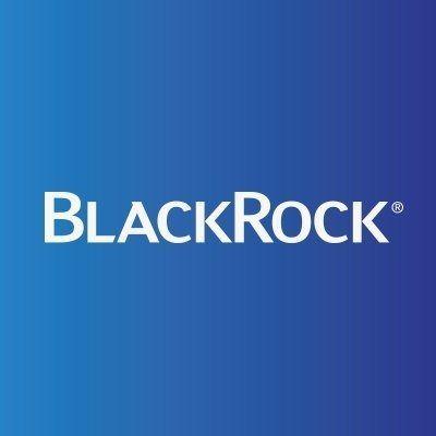 Blackrock Logo - BlackRock - Org Chart | The Org