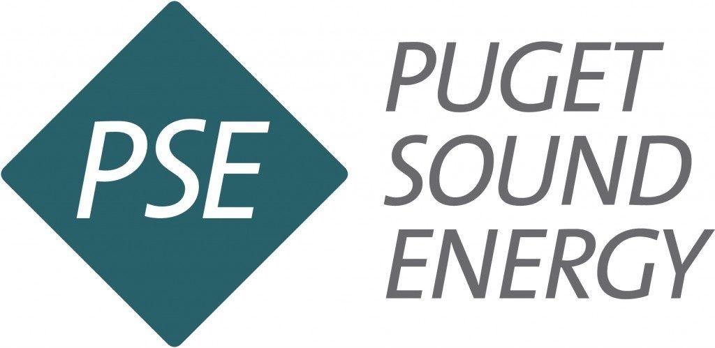 PSE Logo - PSE Logo