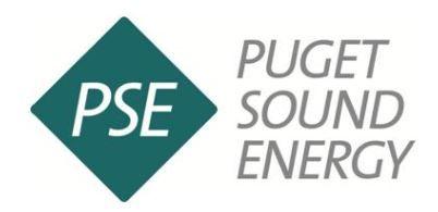 PSE Logo - PSE logo and name