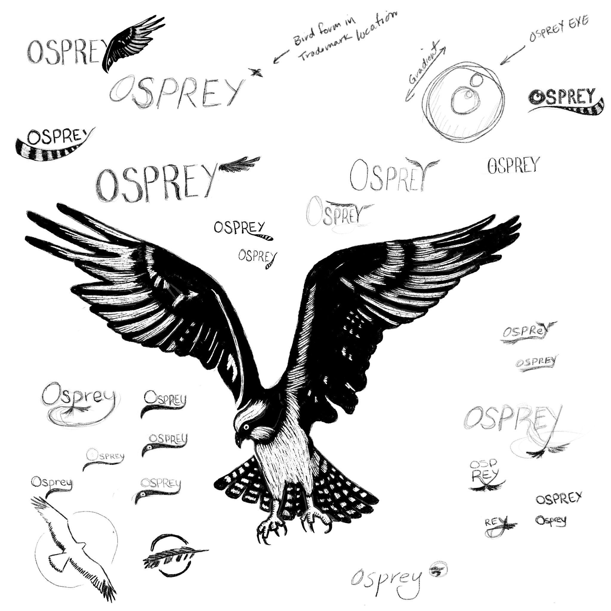 Osprey Logo - Osprey IP Law Branding