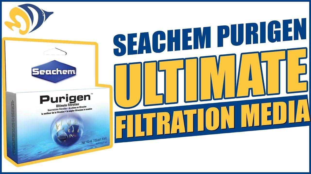 Seachem Logo - Seachem Purigen Ultimate Filtration Media: What YOU Need to Know