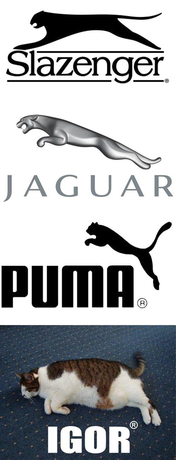slazenger and puma logo
