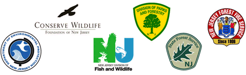 NJDEP, Fish & Wildlife