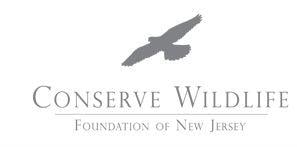 NJDEP Logo - Conserve Wildlife Foundation of New Jersey - Protecting Bald Eagles ...