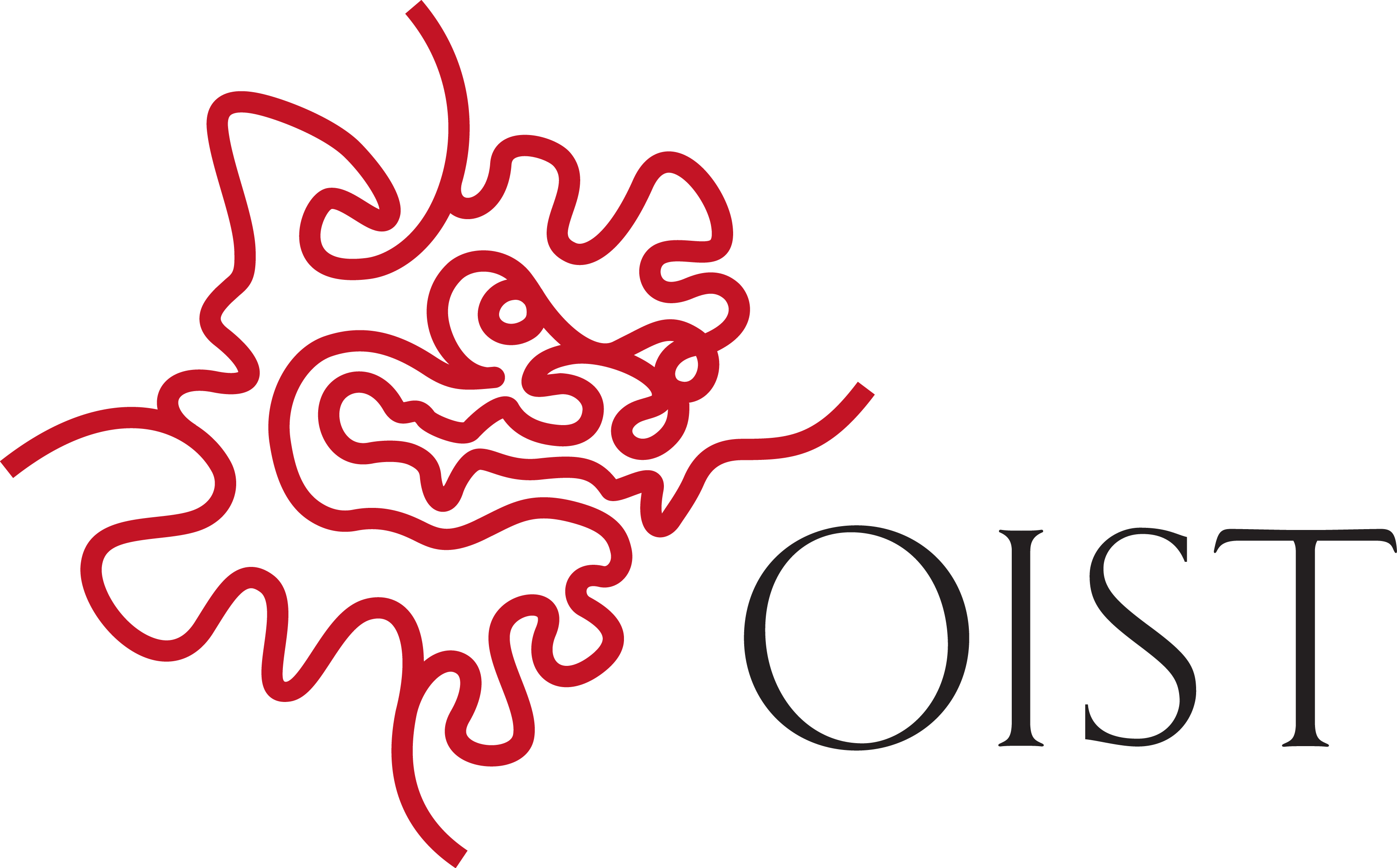 Okinawa Logo - The OIST Logo. Okinawa Institute of Science and Technology Graduate
