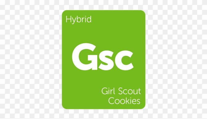 NCR Logo - Girl Scout Cookies Weedmecca - Ncr Logo - Free Transparent PNG ...
