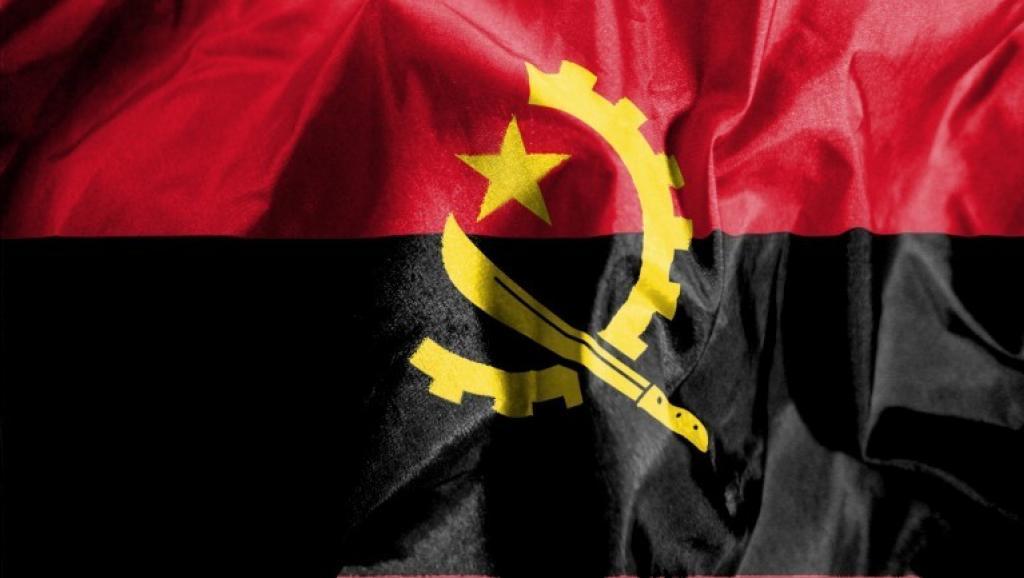 FNLA Logo - Angola: Um morto no congresso da FNLA - África