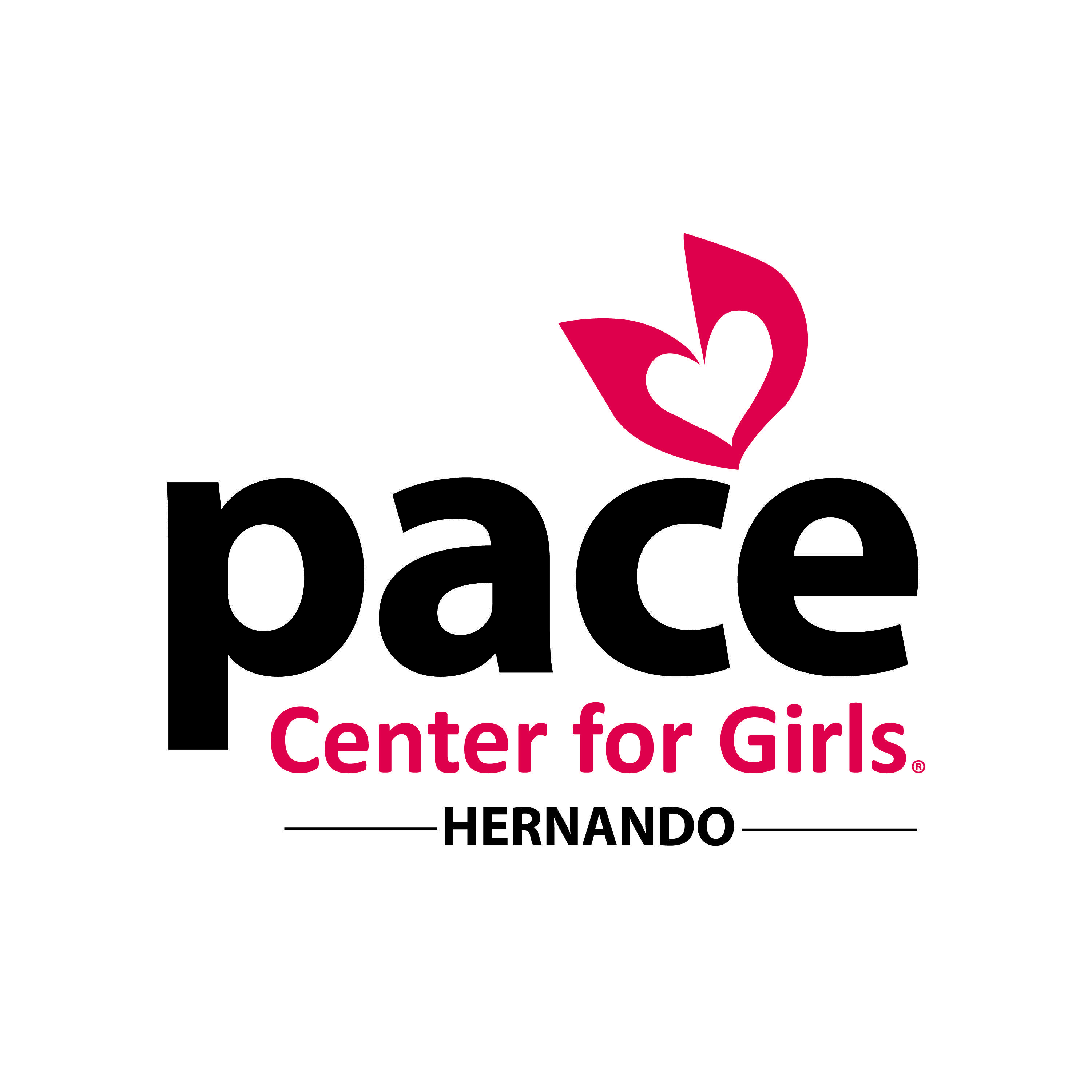 Pace Logo - Fast Facts about Pace Hernando
