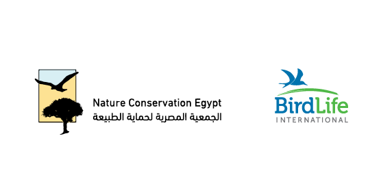 Egypt Logo - Nature Conservation Egypt