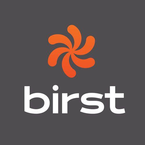 Birst Logo - Lexicon Branding — Birst (Success Metrics)