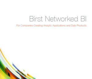 Birst Logo - Birst Networked BI Tech Brief