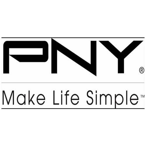 PNY Logo - PNY