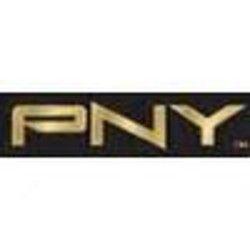 PNY Logo - Pny Logos