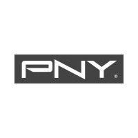 PNY Logo - PNY Products at Campsaver.com