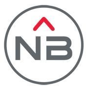 NetBase Logo - Working at NetBase Solutions | Glassdoor