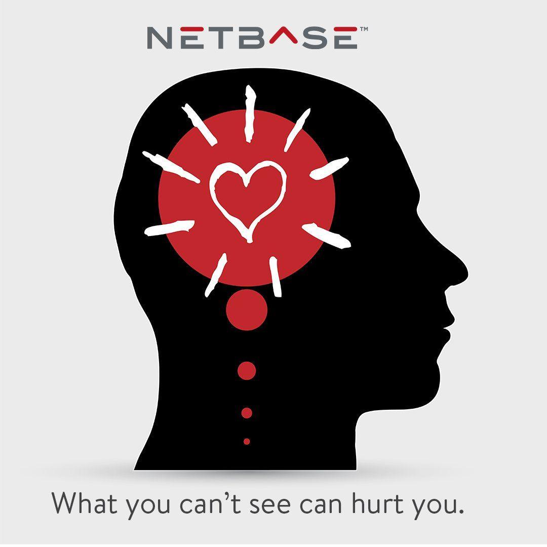 NetBase Logo - NetBase on Twitter: 