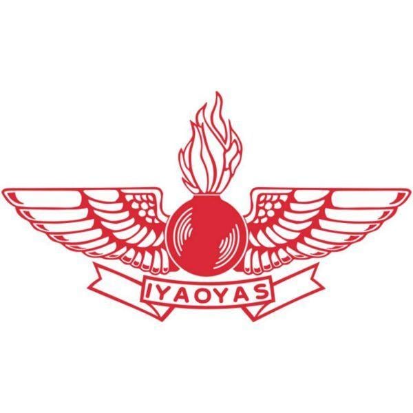Iyaoyas Logo - 12-inch (Red) Aviation Ordnance Logo sticker with IYAOYAS Banner