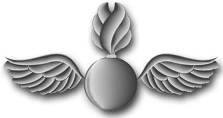 Iyaoyas Logo - Aviation ordnanceman